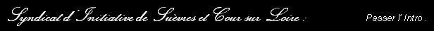 lien vers le site